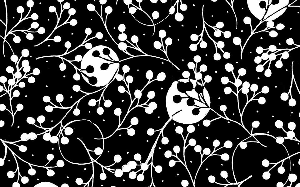 organic cotton print fabric